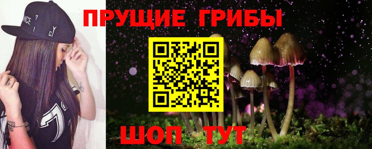 Псилоцибиновые грибы Psilocybine cubensis Иваново